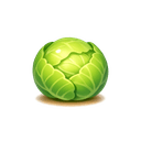 Cabbage